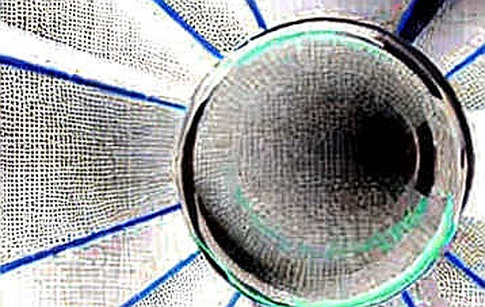 The Oracle of Truth: How Trump's Social Media API Exposes the Fragile Intersection of Information Asymmetry and Tokenized Influence